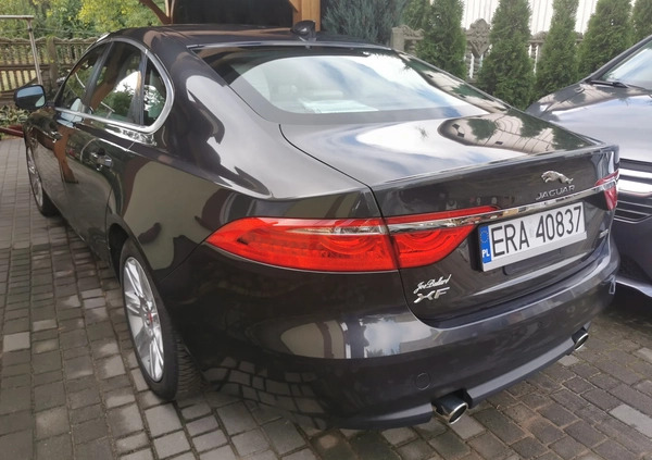 Jaguar XF cena 83900 przebieg: 81600, rok produkcji 2016 z Wyśmierzyce małe 67